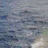 «Роснефть» приступила к геологическим исследованиям в Печорском море - КОМПАНИЯ "ПРОФИ"